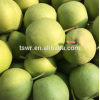 China Pear natural early su pear Shandong pear fresh pear