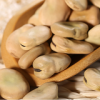 High quality fava beans seed