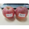 Fuji Apple